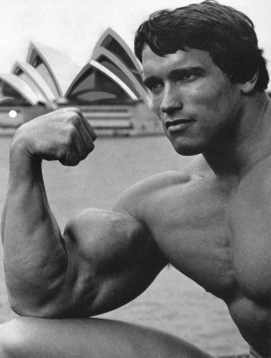 Arnold Schwarzenegger pic #86464